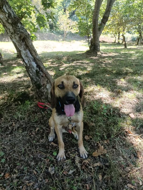 Enea Foto 10